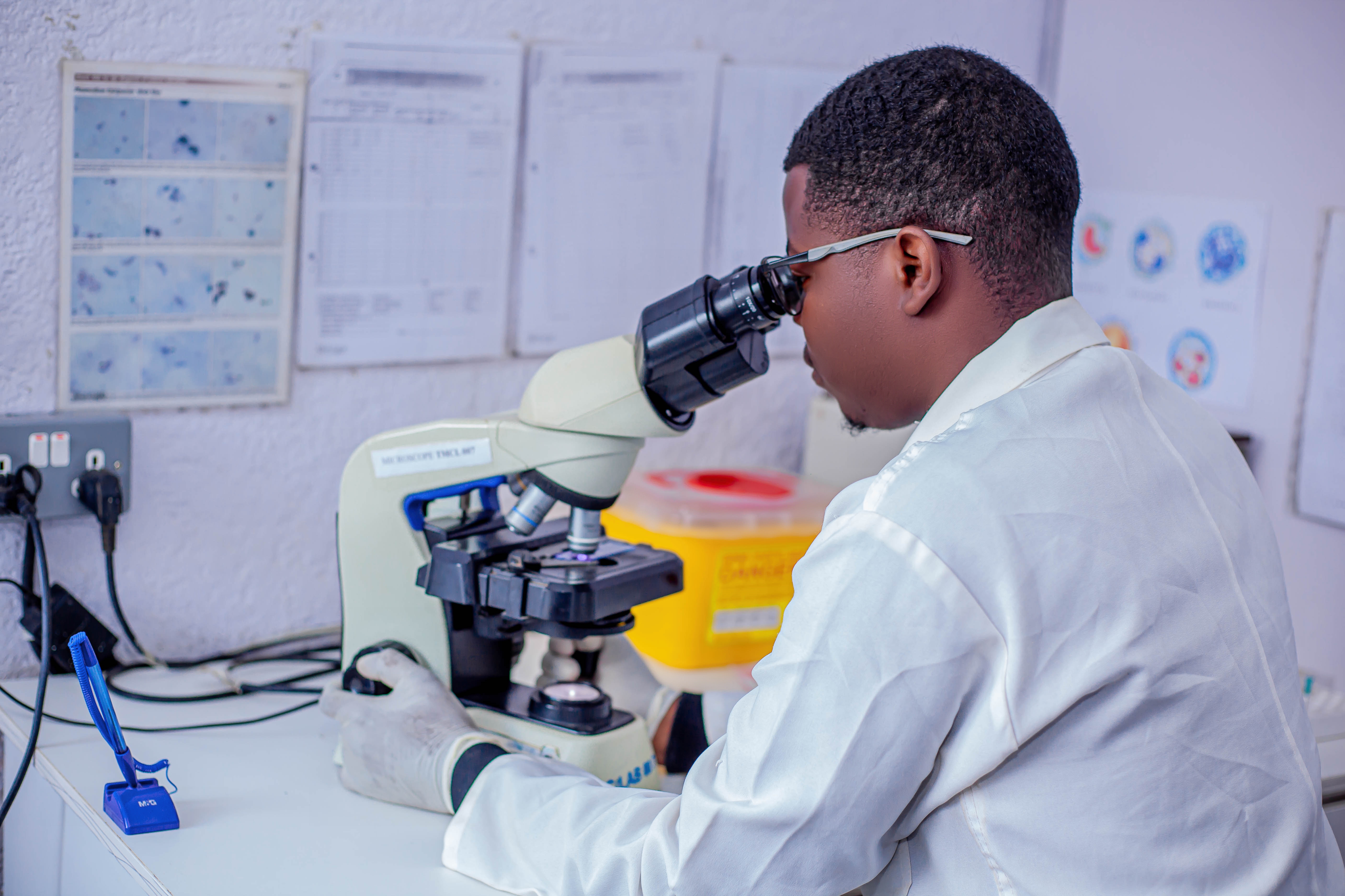 Laboratory scientist examining samples